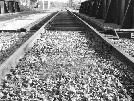 tracks