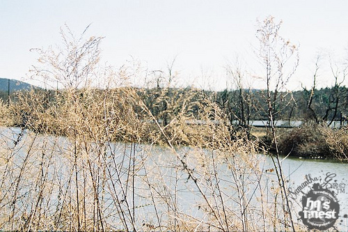 Beautiful Lake Scenery 2.