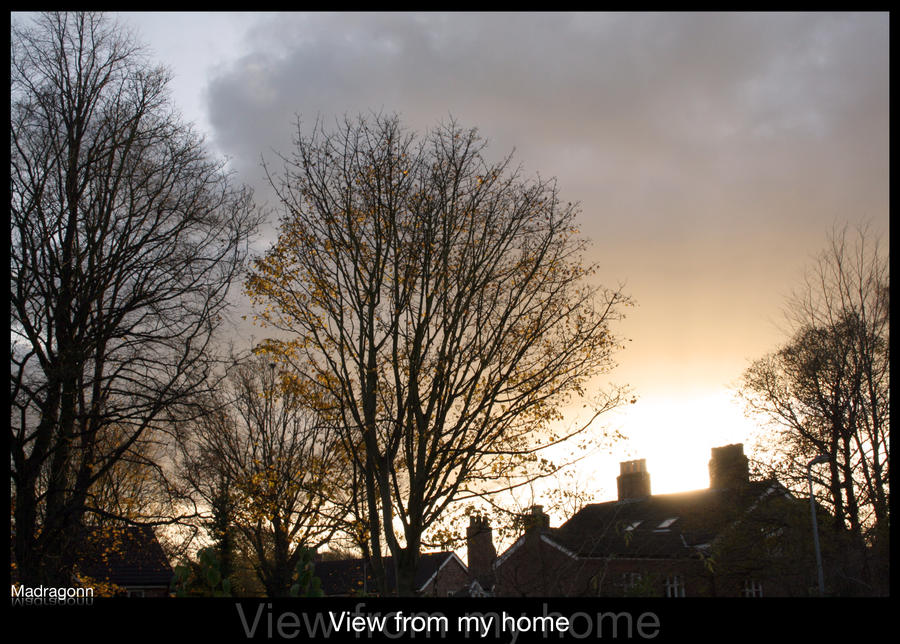 View from my home