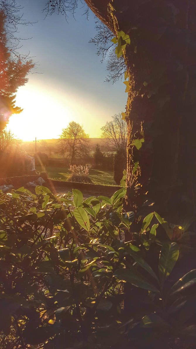 afternoon sun by deeva4 on DeviantArt