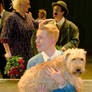 Tintin musical for fans I