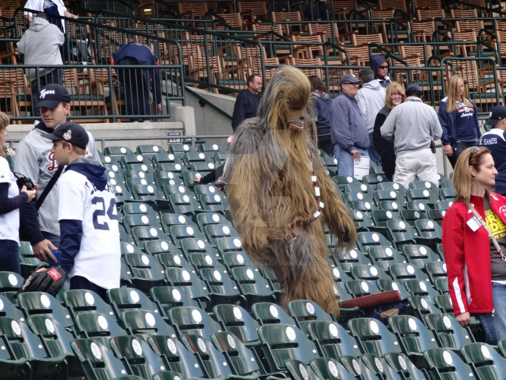 Chewey at the ballpark