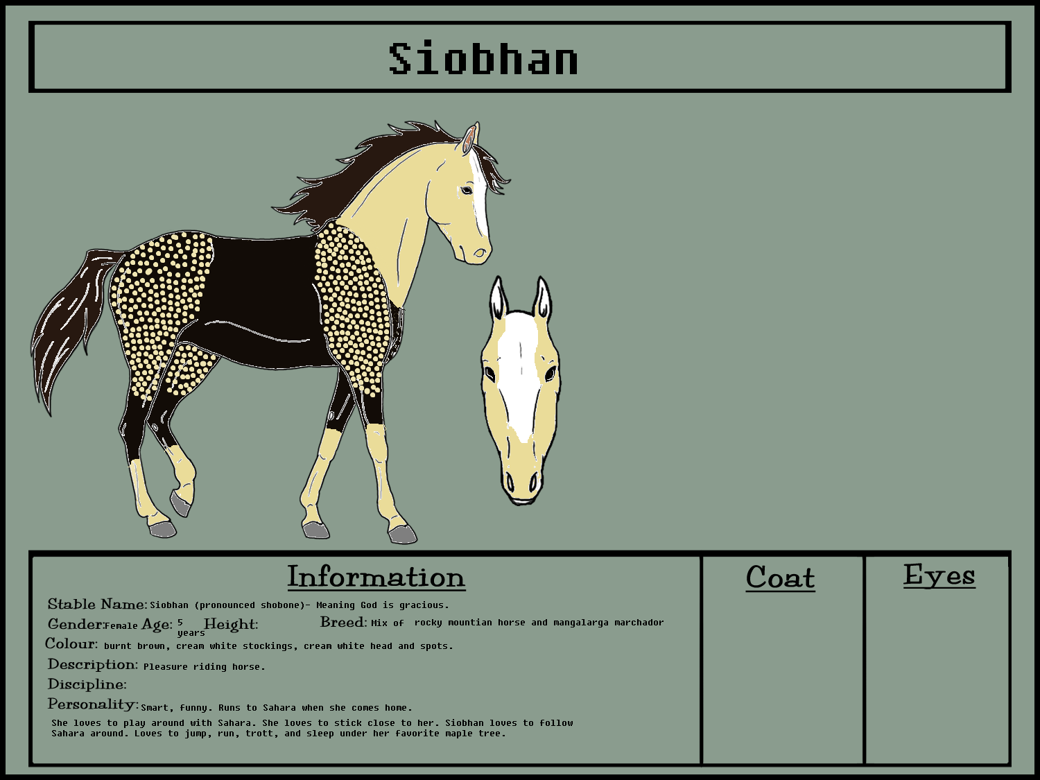 Siobhan Sahara's horse