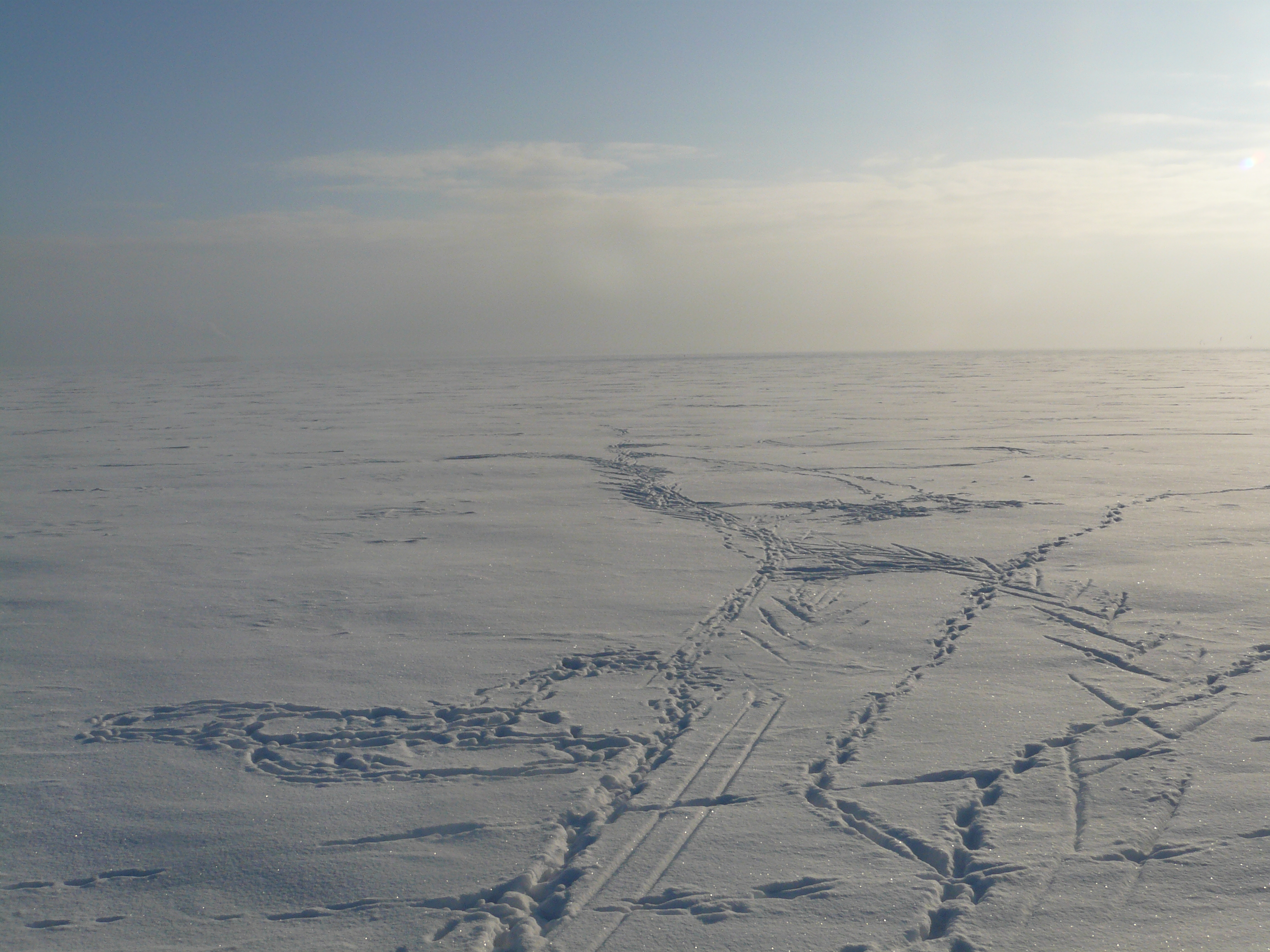 Frozen sea