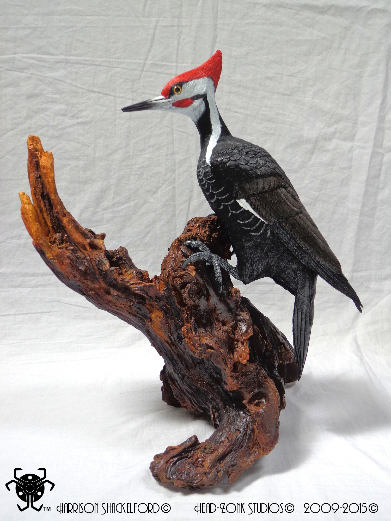 01 Pileated Woodpecker _Cover