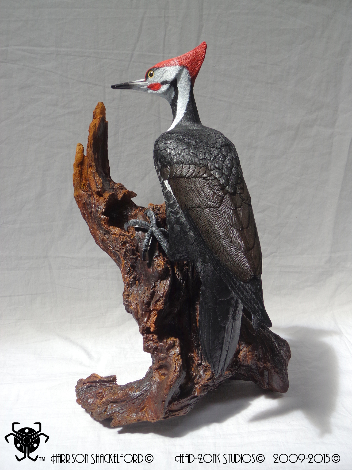 02 Pileated Woodpecker _Back