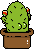 Cactubutt