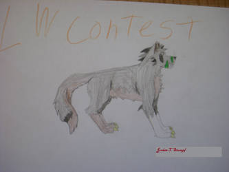 LW contest