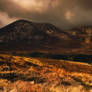 Mourne View