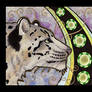 Snow Leopard as Totem