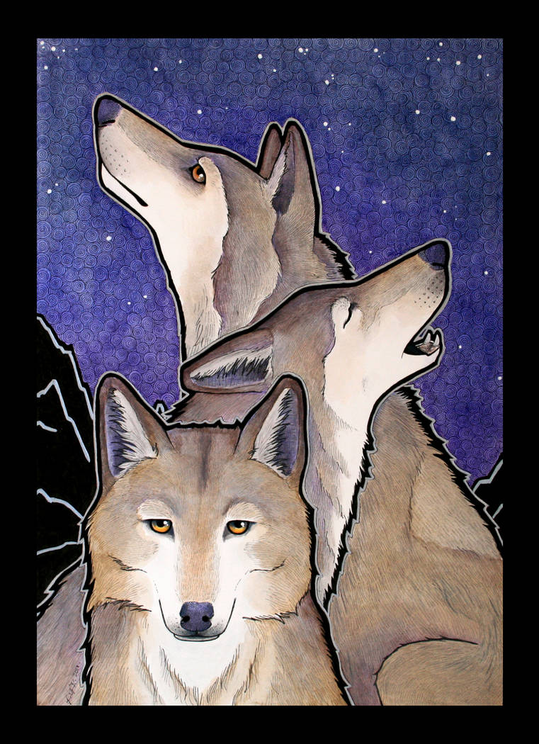 Three Brown Wolves The Three Wolves by Ravenari on DeviantArt