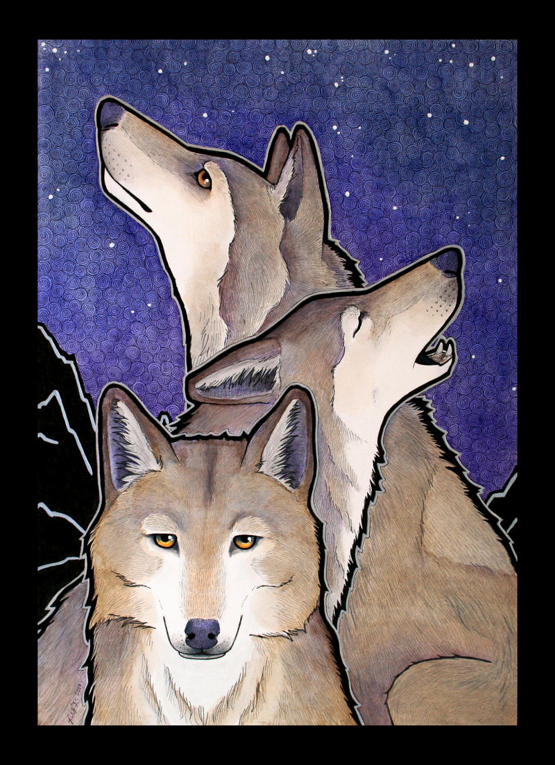 The Three Wolves by Ravenari on DeviantArt