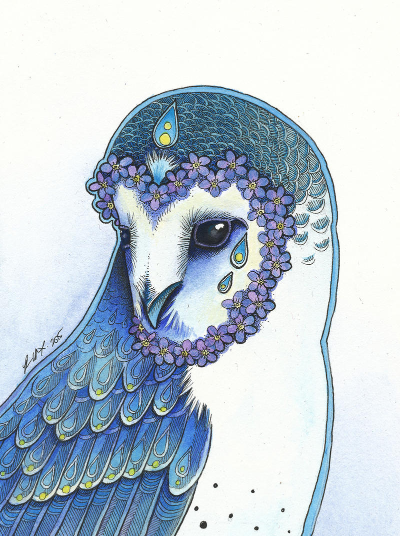The Forget-me-not Owl