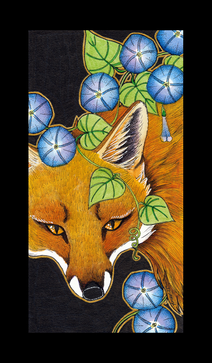 Red Fox and Morning Glory