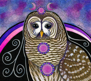 Barred Owl as Totem
