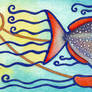 Opah / Moonfish - Lampris guttatus