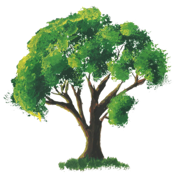 Stock Tree painting