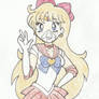 Comm: Sailor Venus's Fitseal Mask