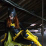 Batgirl Barbara Gordon 14