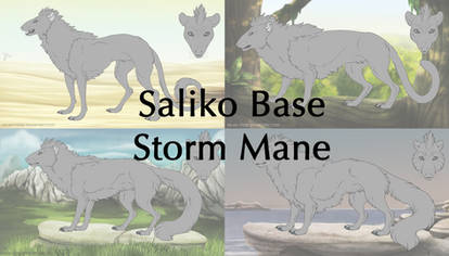 Saliko Base - Storm