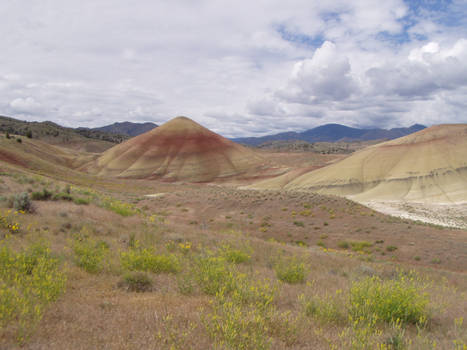 Quiet painted hills