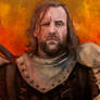 Sandor Clegane, The hound - Game of Thrones