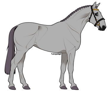 P2U - Warmblood lineart