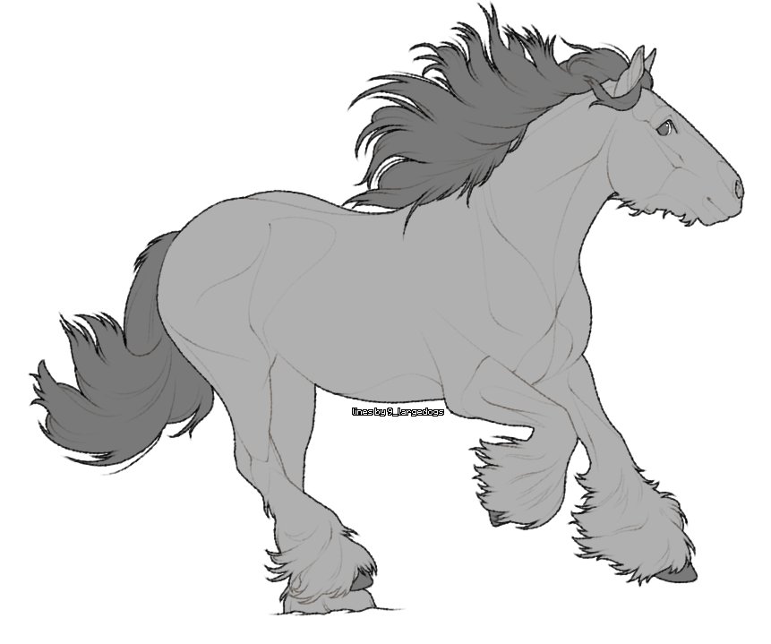 P2U Irish Cob lineart