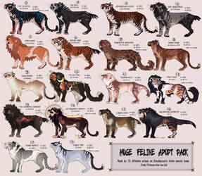 HUGE FELINE PACK