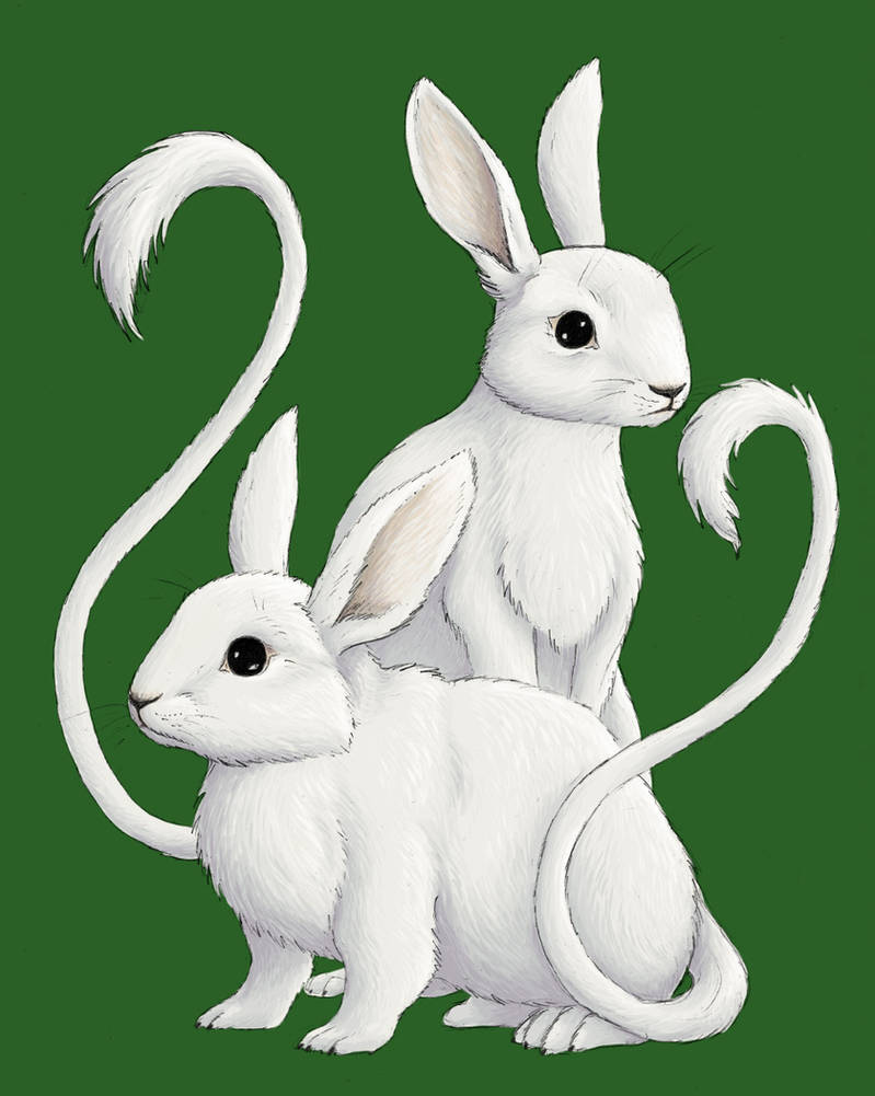 Niche: Rabbils by KaliumLynx on DeviantArt
