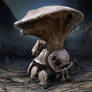 Spider shroom