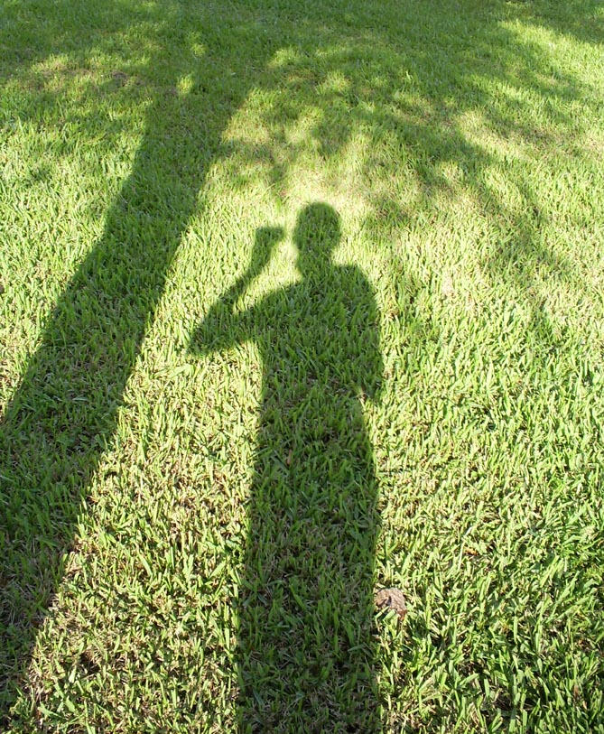 Tree Portraits by jaylauno on DeviantArt