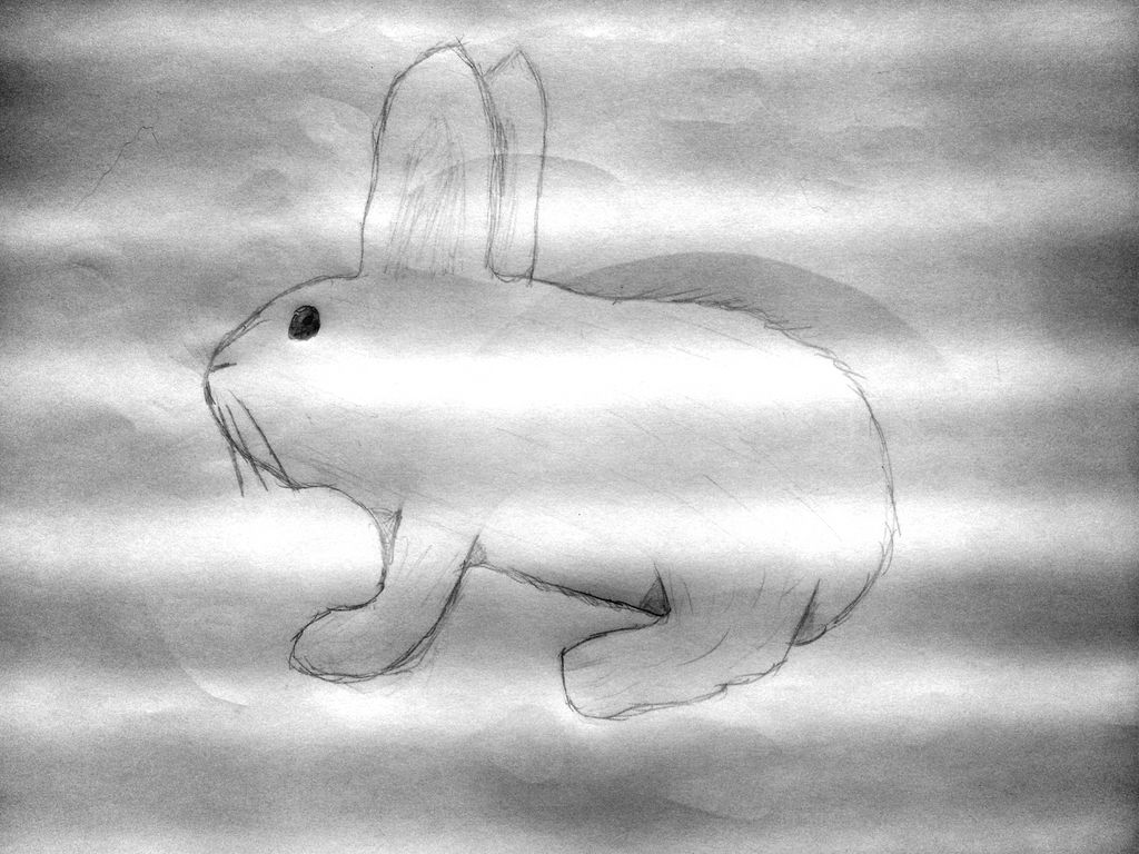 Edited Bunny by herbin45 on DeviantArt