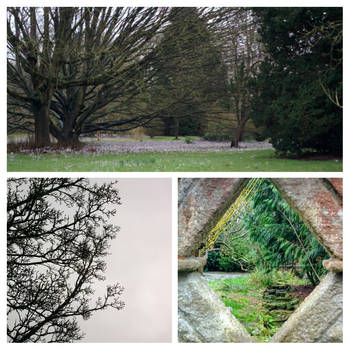 Bath Botanical Gardens Collage