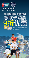 Unionpay Website Ad Banner (small)