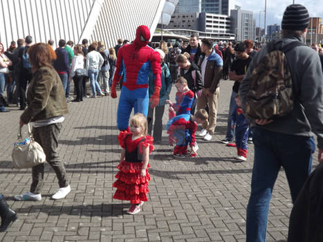 The Spidey Family