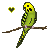 FREE Budgie Icon 1
