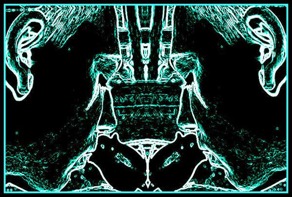 Lady Ravyn Photography 11 by ravynsong78 on DeviantArt