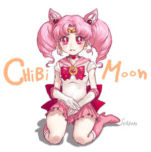 110707 chibimoon