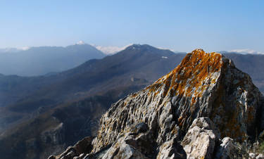 Alps up-close