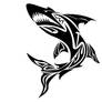 shark tribal