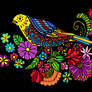 Colourful Bird