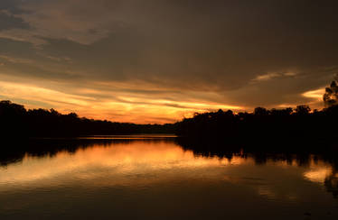 A Golden Lake