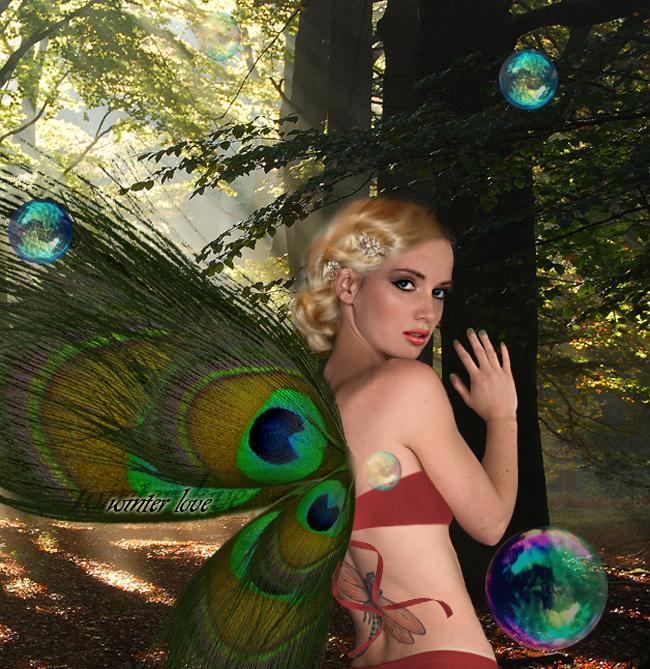 Forest Fairy