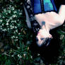 The Colors of Blue