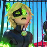 Chat noir and Ladybug face reveal