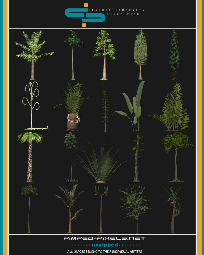 Prehistoric Plants