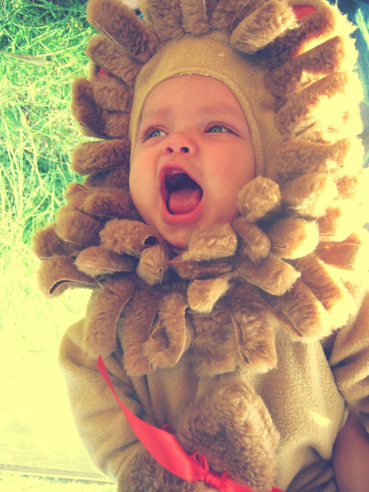 ROAR!