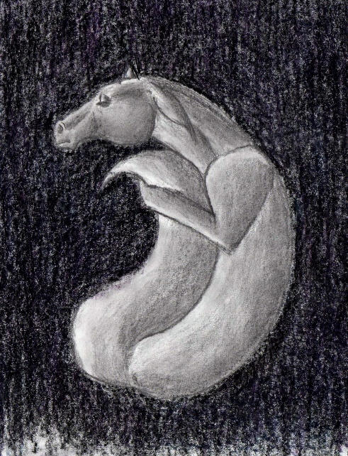Angst Dragon Dragon angst by htorokoT on DeviantArt