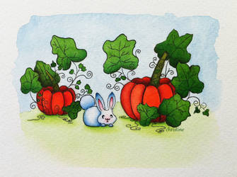 Pumpkin field by ChristineDim